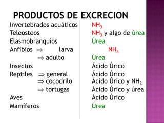 Invertebrados acuáticos   NH3
Teleosteos                NH3 y algo de úrea
Elasmobranquios           Úrea
Anfibios         larva         NH3
            adulto        Úrea
Insectos                  Ácido Úrico
Reptiles    general       Ácido Úrico
            cocodrilo     Ácido Úrico y NH3
            tortugas      Ácido Úrico y úrea
Aves                      Ácido Úrico
Mamíferos                 Úrea
 