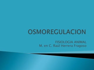FISIOLOGIA ANIMAL
M. en C. Raúl Herrera Fragoso
 