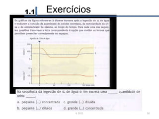 1.1 Exercícios
IL 2011 30
 