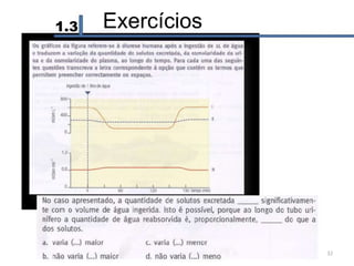 1.3 Exercícios
32
 