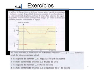 1.4 Exercícios
33
 