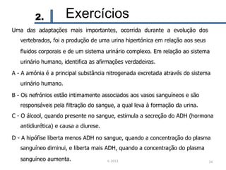 2. Exercícios
Uma das adaptações mais importantes, ocorrida durante a evolução dos
vertebrados, foi a produção de uma urina hipertónica em relação aos seus
fluidos corporais e de um sistema urinário complexo. Em relação ao sistema
urinário humano, identifica as afirmações verdadeiras.
A - A amónia é a principal substância nitrogenada excretada através do sistema
urinário humano.
B - Os nefrónios estão intimamente associados aos vasos sanguíneos e são
responsáveis pela filtração do sangue, a qual leva à formação da urina.
C - O álcool, quando presente no sangue, estimula a secreção do ADH (hormona
antidiurética) e causa a diurese.
D - A hipófise liberta menos ADH no sangue, quando a concentração do plasma
sanguíneo diminui, e liberta mais ADH, quando a concentração do plasma
sanguíneo aumenta. IL 2011 34
 