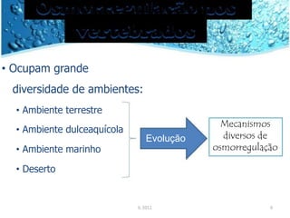 • Ocupam grande
diversidade de ambientes:
• Ambiente terrestre
• Ambiente dulceaquícola
• Ambiente marinho
• Deserto
Evolução
IL 2011
Mecanismos
diversos de
osmorregulação
6
 