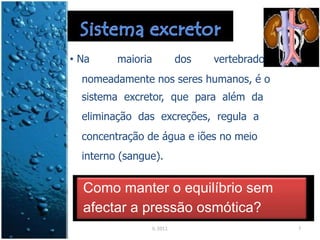 • Na maioria dos vertebrado
nomeadamente nos seres humanos, é o
sistema excretor, que para além da
eliminação das excreções, regula a
concentração de água e iões no meio
interno (sangue).
Como manter o equilíbrio sem
afectar a pressão osmótica?
IL 2011 7
 
