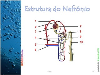 IL 2011
10




   Adaptado de:
 