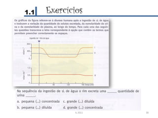 1.1   Exercícios




              IL 2011   30
 