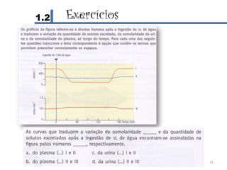 1.2   Exercícios




              IL 2011   31
 