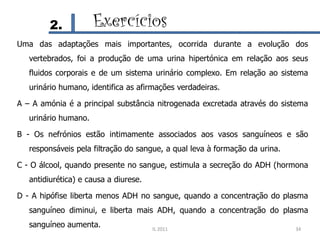2.           Exercícios
Uma das adaptações mais importantes, ocorrida durante a evolução dos
   vertebrados, foi a produção de uma urina hipertónica em relação aos seus
   fluidos corporais e de um sistema urinário complexo. Em relação ao sistema
   urinário humano, identifica as afirmações verdadeiras.

A – A amónia é a principal substância nitrogenada excretada através do sistema
   urinário humano.

B - Os nefrónios estão intimamente associados aos vasos sanguíneos e são
   responsáveis pela filtração do sangue, a qual leva à formação da urina.

C - O álcool, quando presente no sangue, estimula a secreção do ADH (hormona
   antidiurética) e causa a diurese.

D - A hipófise liberta menos ADH no sangue, quando a concentração do plasma
   sanguíneo diminui, e liberta mais ADH, quando a concentração do plasma
   sanguíneo aumenta.                  IL 2011                               34
 