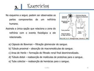 3.          Exercícios
No esquema a seguir, podem ser observadas as
   partes    componentes   de    um      nefrónio
   humano.

Assinala a única opção que relaciona a zona do
   nefrónio com o evento fisiológico a ele
   relacionado.


  a) Cápsula de Bowman – filtração glomerular do sangue.
  b) Túbulo proximal – absorção de macromoléculas do sangue.
  c) Ansa de Henle – formação do filtrado renal final desmineralizado.
  d) Túbulo distal – reabsorção de moléculas de proteínas para o sangue.
  e) Tubo colector – reabsorção de hemácias para o sangue.

                                      IL 2011                              35
 