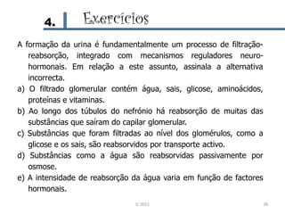 4.        Exercícios
A formação da urina é fundamentalmente um processo de filtração-
   reabsorção, integrado com mecanismos reguladores neuro-
   hormonais. Em relação a este assunto, assinala a alternativa
   incorrecta.
a) O filtrado glomerular contém água, sais, glicose, aminoácidos,
   proteínas e vitaminas.
b) Ao longo dos túbulos do nefrónio há reabsorção de muitas das
   substâncias que saíram do capilar glomerular.
c) Substâncias que foram filtradas ao nível dos glomérulos, como a
   glicose e os sais, são reabsorvidos por transporte activo.
d) Substâncias como a água são reabsorvidas passivamente por
   osmose.
e) A intensidade de reabsorção da água varia em função de factores
   hormonais.
                               IL 2011                           36
 