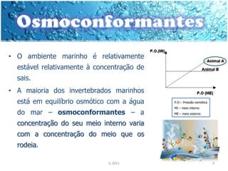 • O ambiente marinho é relativamente
  estável relativamente à concentração de
  sais.
• A maioria dos invertebrados marinhos
  está em equilíbrio osmótico com a água    P.O – Pressão osmótica
                                            MI – meio interno
  do mar – osmoconformantes – a             ME – meio externo


  concentração do seu meio interno varia
  com a concentração do meio que os
  rodeia.

                              IL 2011                                4
 