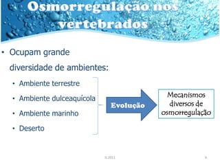 • Ocupam grande
 diversidade de ambientes:
  • Ambiente terrestre
                                              Mecanismos
  • Ambiente dulceaquícola
                                 Evolução     diversos de
  • Ambiente marinho                        osmorregulação

  • Deserto


                             IL 2011                    6
 