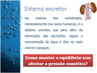 • Na    maioria             dos   vertebrados,
 nomeadamente nos seres humanos, é o
 sistema excretor, que para além da
 eliminação das excreções, regula a
 concentração de água e iões no meio
 interno (sangue).


  Como manter o equilíbrio sem
   afectar a pressão osmótica?
                  IL 2011                        7
 