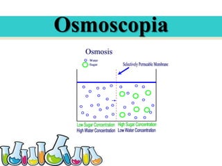 Osmoscopia

 