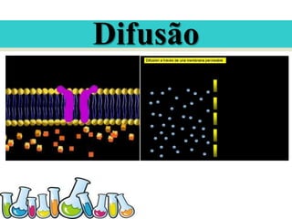 Difusão

 