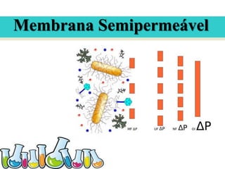 Membrana Semipermeável

 