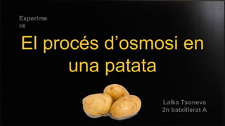 El procés d’osmosi en 
una patata 
Lalka Tsoneva 
2n batxillerat A 
Experime 
nt 
 