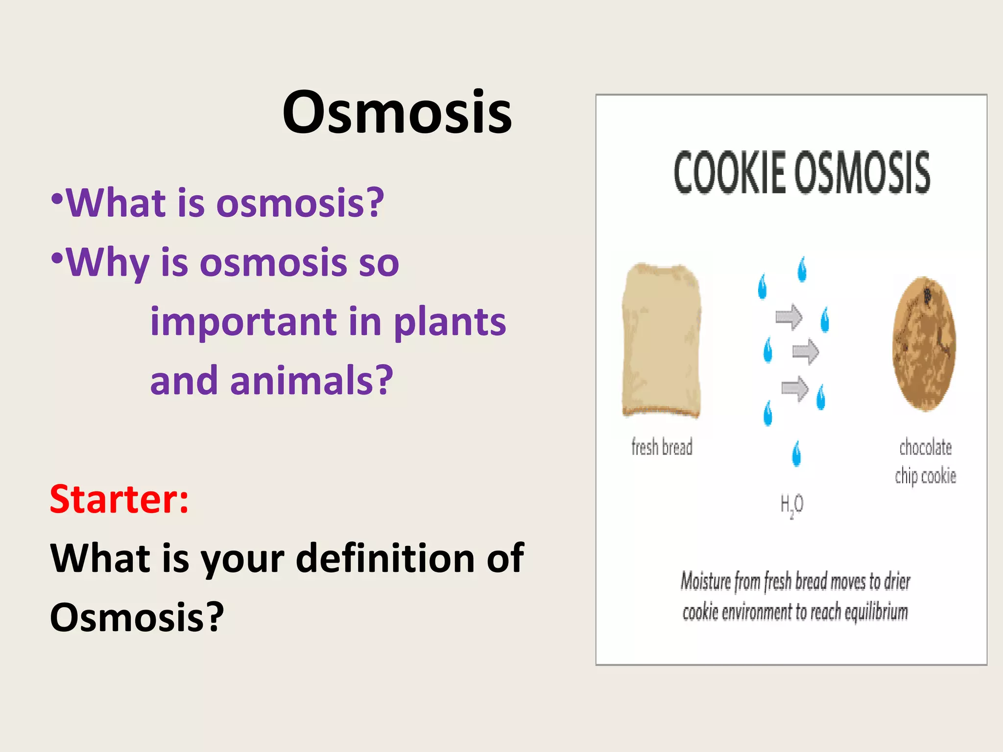 Osmosis What is osmosis? Why is osmosis so important in plants and animals? Starter: What is your definition of Osmosis?