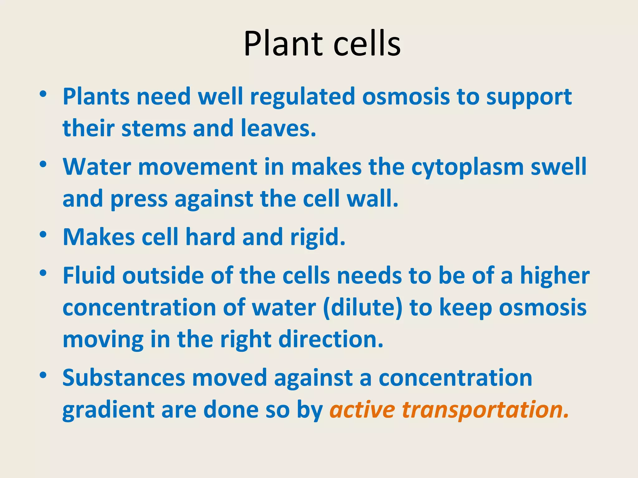 Plant cells Plants need well regulated osmosis to support their stems and leaves. Water movement in makes the cytoplasm swell and press against the cell wall. Makes cell hard and rigid. Fluid outside of the cells needs to be of a higher concentration of water (dilute) to keep osmosis moving in the right direction. Substances moved against a concentration gradient are done so by active transportation.
