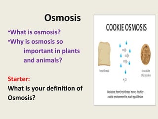 Osmosis ,[object Object],[object Object],[object Object],[object Object],[object Object],[object Object],[object Object]