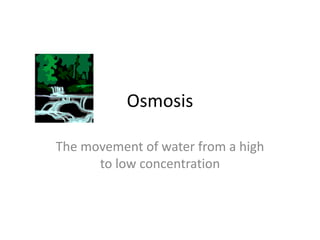 Osmosis

The movement of water from a high
      to low concentration
 