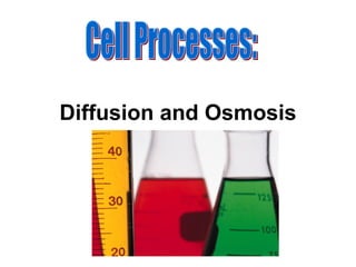 Diffusion and Osmosis Cell Processes: 