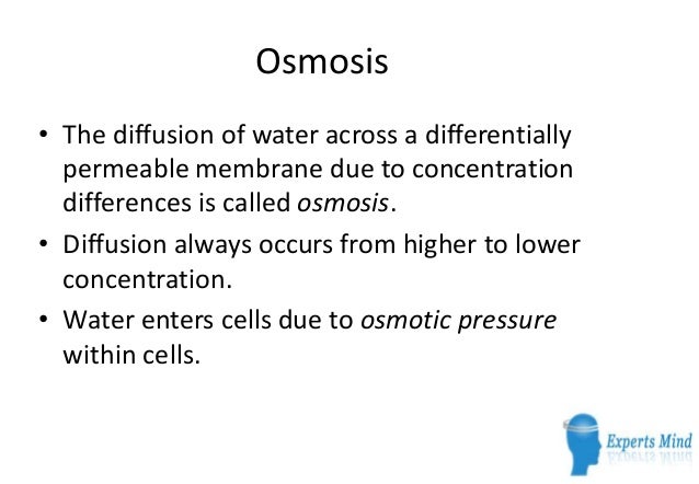 Osmosis prime free trial picture