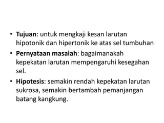 • Tujuan: untuk mengkaji kesan larutan
hipotonik dan hipertonik ke atas sel tumbuhan
• Pernyataan masalah: bagaimanakah
kepekatan larutan mempengaruhi kesegahan
sel.
• Hipotesis: semakin rendah kepekatan larutan
sukrosa, semakin bertambah pemanjangan
batang kangkung.
 