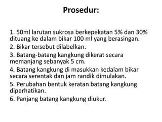Prosedur:
1. 50ml larutan sukrosa berkepekatan 5% dan 30%
dituang ke dalam bikar 100 ml yang berasingan.
2. Bikar tersebut dilabelkan.
3. Batang-batang kangkung dikerat secara
memanjang sebanyak 5 cm.
4. Batang kangkung di masukkan kedalam bikar
secara serentak dan jam randik dimulakan.
5. Perubahan bentuk keratan batang kangkung
diperhatikan.
6. Panjang batang kangkung diukur.
 