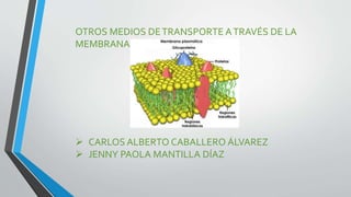 OTROS MEDIOS DE TRANSPORTE A TRAVÉS DE LA 
MEMBRANA 
 CARLOS ALBERTO CABALLERO ÁLVAREZ 
 JENNY PAOLA MANTILLA DÍAZ 
 