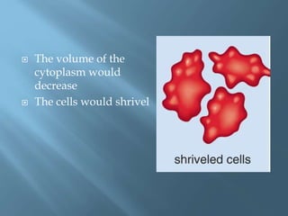 The volume of the
cytoplasm would
decrease
 The cells would shrivel
 
