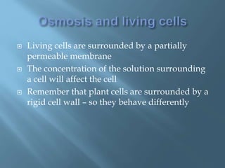  Living cells are surrounded by a partially
permeable membrane
 The concentration of the solution surrounding
a cell will affect the cell
 Remember that plant cells are surrounded by a
rigid cell wall – so they behave differently
 