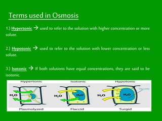 Terms usedin Osmosis
1.) Hypertonic  used to refer to the solution with higher concentration or more
solute.
2.) Hypotonic  used to refer to the solution with lower concentration or less
solute.
3.) Isotonic  If both solutions have equal concentrations, they are said to be
isotonic.
 