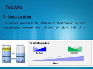 Factors
2. Osmotic gradient
The osmotic gradient is the difference in concentration between
concentration between two solutions on either side of a
 
