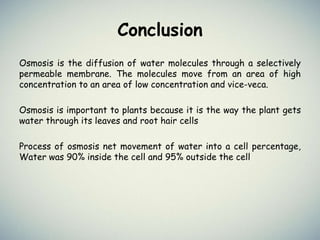 Conclusion
Osmosis is the diffusion of water molecules through a selectively
permeable membrane. The molecules move from an area of high
concentration to an area of low concentration and vice-veca.
Osmosis is important to plants because it is the way the plant gets
water through its leaves and root hair cells
Process of osmosis net movement of water into a cell percentage,
Water was 90% inside the cell and 95% outside the cell
 
