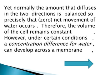 Yet normally the amount that diffuses
in the two directions is balanced so
precisely that (zero) net movement of
water occurs . Therefore, the volume
of the cell remains constant .
However, under certain conditions ,
a concentration difference for water ,
can develop across a membrane ,
 