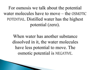For osmosis we talk about the potential
water molecules have to move – the OSMOTIC
POTENTIAL. Distilled water has the highest
potential (zero).
When water has another substance
dissolved in it, the water molecules
have less potential to move. The
osmotic potential is NEGATIVE.
 