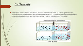 C- Osmosis
 Osmosis is a special case of diffusion in which water moves from an area of greater water
concentration (where there is less osmotic pressure) across a selectively permeable membrane
to an area of lower water concentration (where there is greater osmotic pressure).
 
