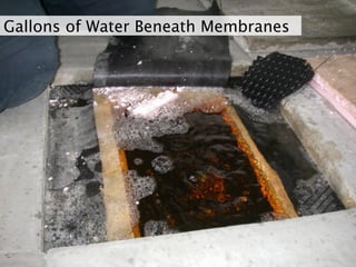 Osmosis: The Bane of Liquid Applied Waterproofing Membranes | PDF
