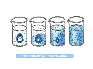 DIFUSIÓN DE AZÚCAR EN AGUA   