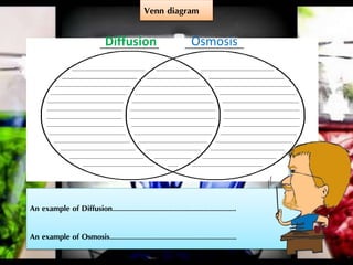 Venn diagram
An example of Diffusion……………………………………………………………….
An example of Osmosis…………………………………………………………………
OsmosisDiffusion
 