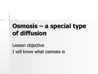 Osmosis – a special type of diffusion Lesson objective I will know what osmosis is 