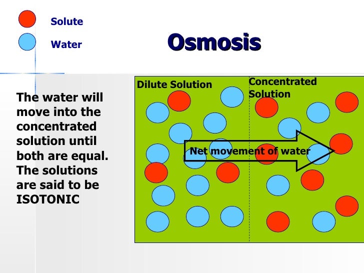 Osmosis A Special Type Of Diffusion