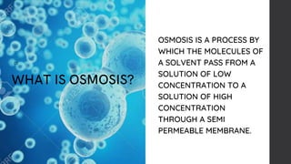 OSMOSIS IS A PROCESS BY
WHICH THE MOLECULES OF
A SOLVENT PASS FROM A
SOLUTION OF LOW
CONCENTRATION TO A
SOLUTION OF HIGH
C...