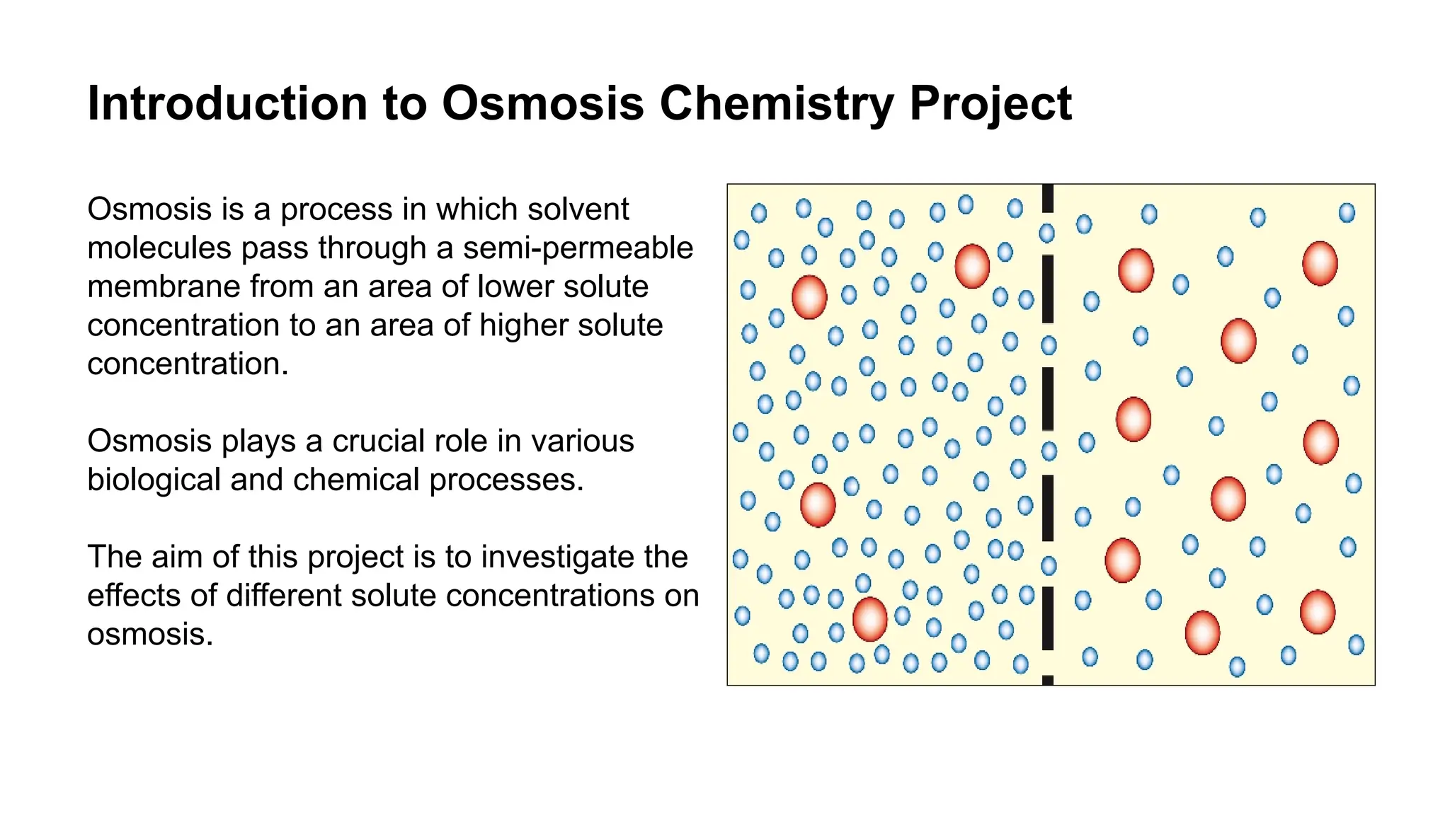 Introduction to Osmosis Chemistry Project
Osmosis is a process in which solvent
molecules pass through a semi-permeable
membrane from an area of lower solute
concentration to an area of higher solute
concentration.
Osmosis plays a crucial role in various
biological and chemical processes.
The aim of this project is to investigate the
effects of different solute concentrations on
osmosis.
 