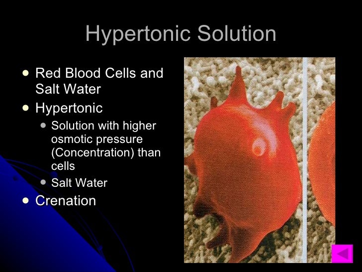 Osmosis & Dialysis