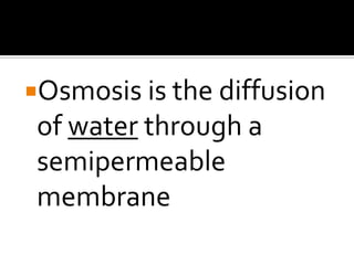 Osmosis is the diffusion of water through a semipermeable membrane