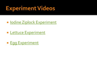 Experiment VideosIodine Ziplock ExperimentLettuce ExperimentEgg Experiment