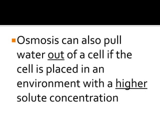 Osmosis Diffusion