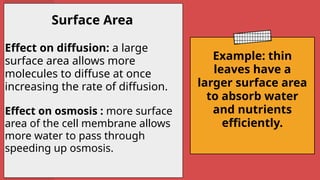 Osmosis & Diffusion ///////// | PPTX